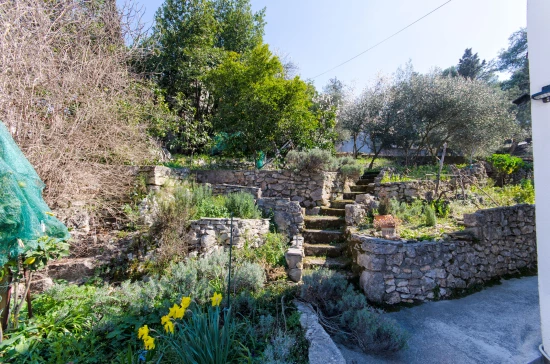 Apartmán Ostrov Brač - Supetar OS 10050 N1