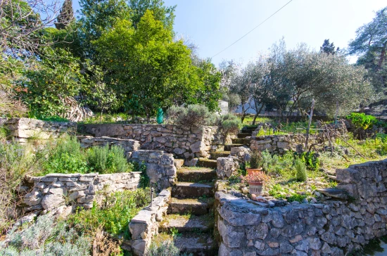 Apartmán Ostrov Brač - Supetar OS 10050 N1