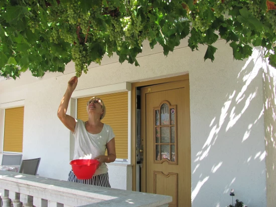 Apartmán Kvarner - Dramalj KV 7543 N1