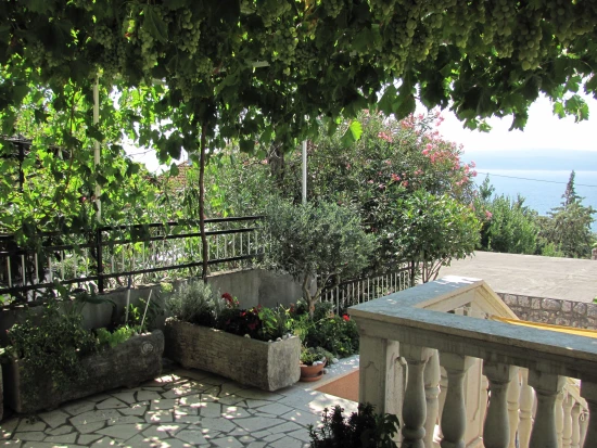 Apartmán Kvarner - Dramalj KV 7543 N1