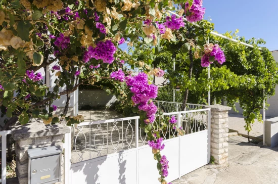 Apartmán Severní Dalmácie - Vodice DA 8159 N1