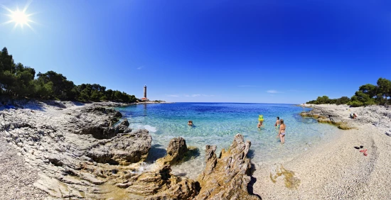 Apartmán Ostrov Dugi otok - Veli Rat OS 10064 N2