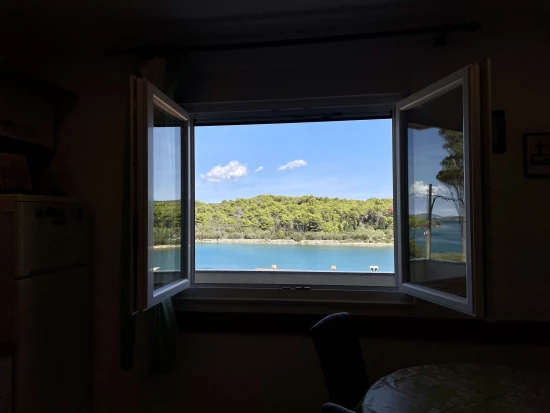 Apartmán Ostrov Dugi otok - Veli Rat OS 10064 N2