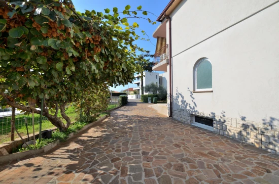 Apartmán Istrie - Umag IS 7126 N2