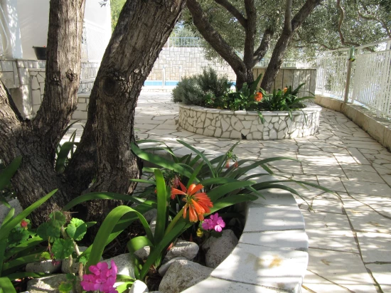 Apartmánový pokoj Střední Dalmácie - Brist (Gradac) DA 8167 N7