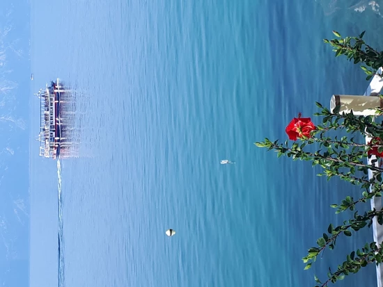 Apartmánový pokoj Střední Dalmácie - Brist (Gradac) DA 8167 N8