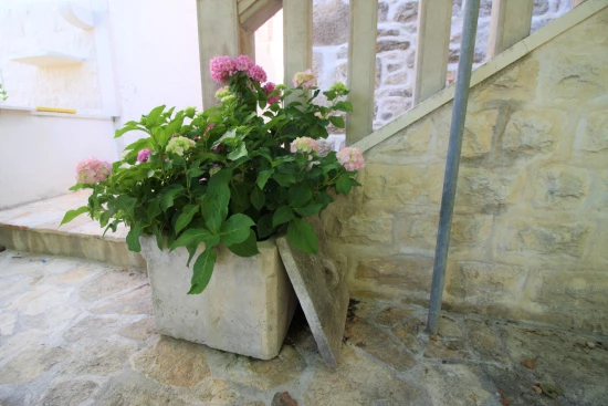 Apartmán Ostrov Brač - Sumartin OS 10072 N1