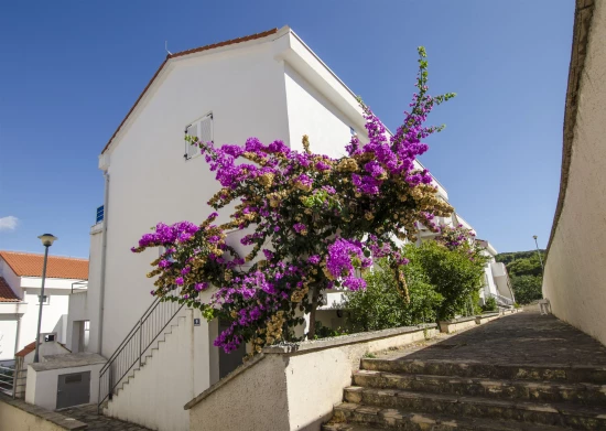 Apartmán Ostrov Šolta - Nečujam OS 10076 N1