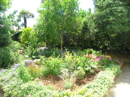 Apartmán Ostrov Krk - Krk OS 10078 N1