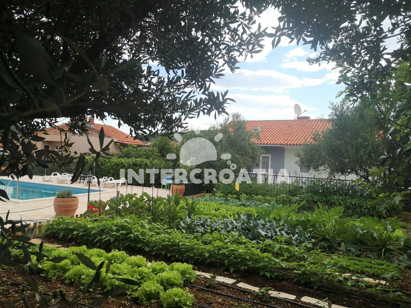 Domek Střední Dalmácie - Okrug Gornji DA 8174 N1