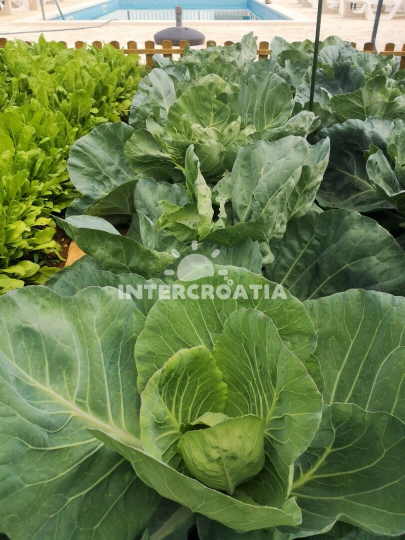 Domek Střední Dalmácie - Okrug Gornji DA 8174 N1