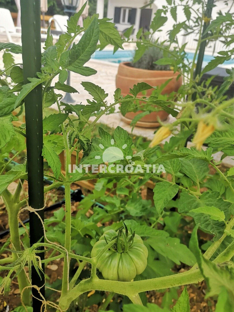 Domek Střední Dalmácie - Okrug Gornji DA 8174 N1