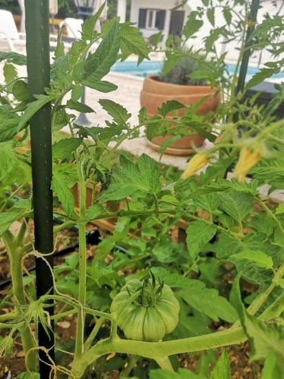 Domek Střední Dalmácie - Okrug Gornji DA 8174 N1