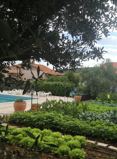 Domek Střední Dalmácie - Okrug Gornji DA 8174 N1