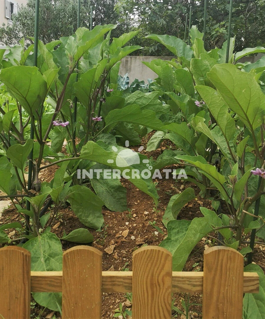 Domek Střední Dalmácie - Okrug Gornji DA 8174 N1