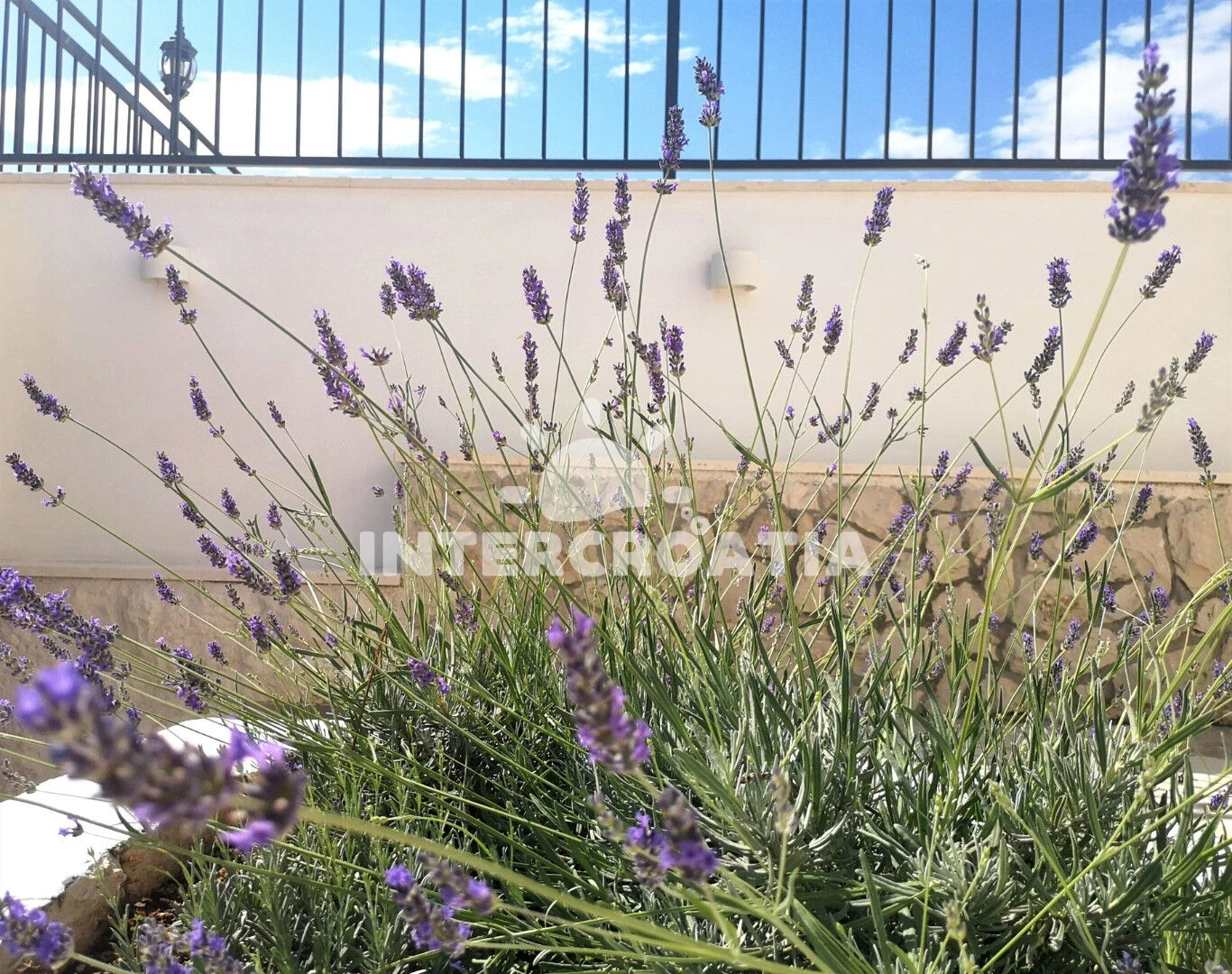 Domek Střední Dalmácie - Okrug Gornji DA 8174 N1