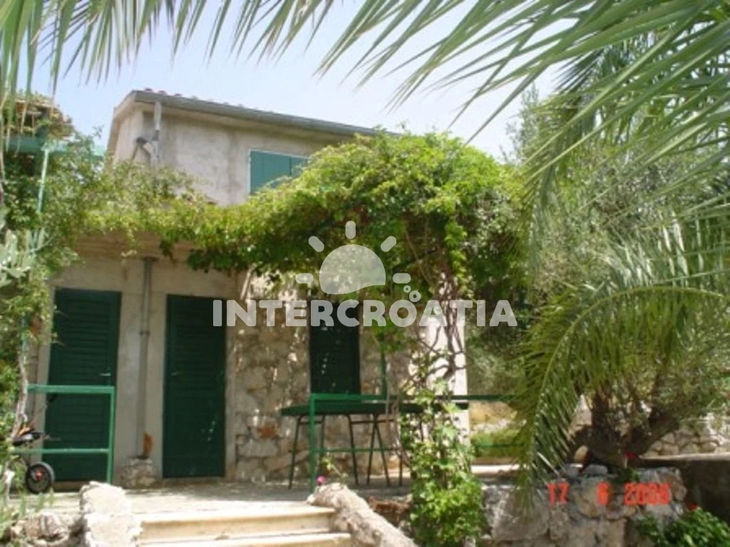 Domek Ostrov Zut - Zut OS 10079 N1