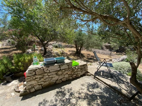 Domek Ostrov Zut - Zut OS 10079 N1