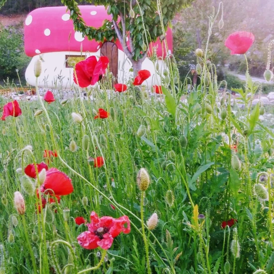 Domek Severní Dalmácie - Rupe (Krka) DA 8176 N1