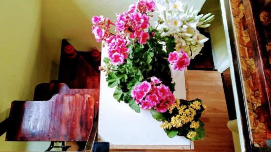 Domek Severní Dalmácie - Rupe (Krka) DA 8176 N1