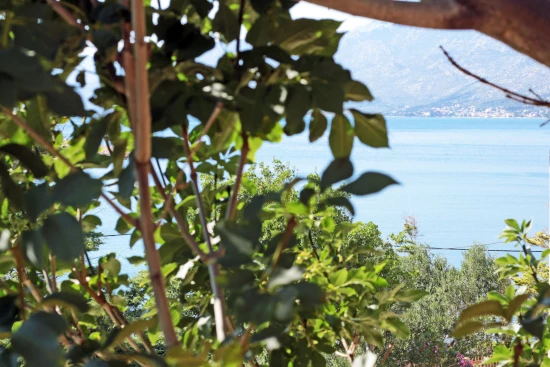 Domek Severní Dalmácie - Vinjerac DA 8178 N1