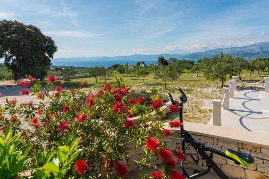 Domek Ostrov Brač - Postira OS 10083 N1