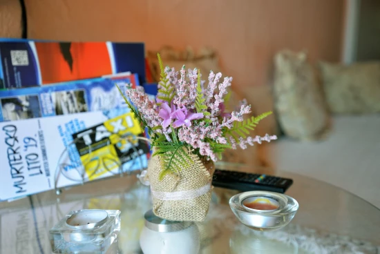 Apartmán Ostrov Murter - Murter OS 10084 N1