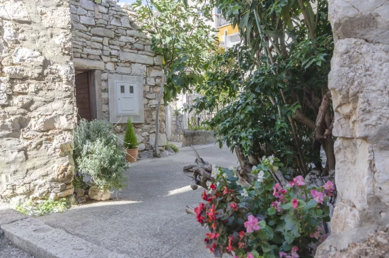 Domek Severní Dalmácie - Tribunj (Vodice) DA 8182 N1