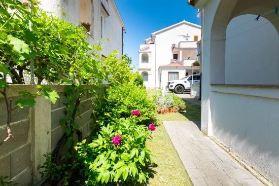 Apartmán Ostrov Rab - Lopar OS 10091 N3