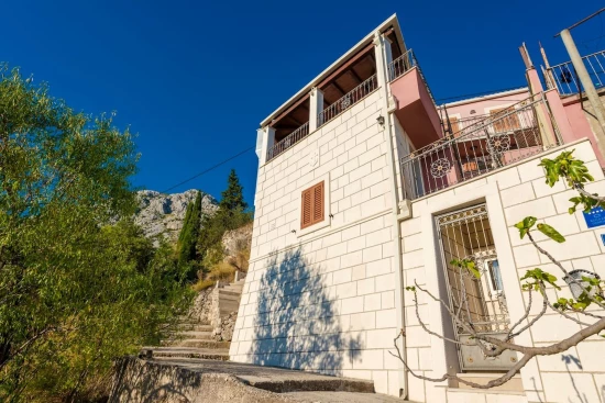 Vila Jižní Dalmácie - Mravnica (Mravinca) DA 8184 N1