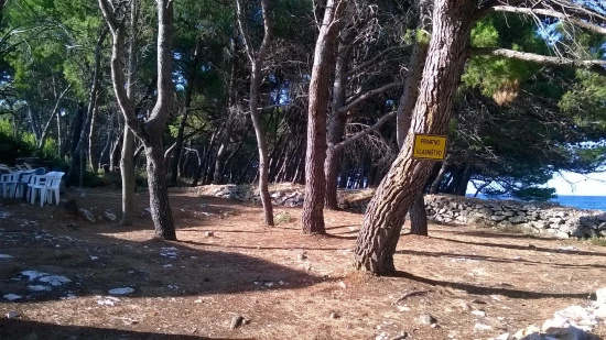 Apartmán Ostrov Ugljan - Ugljan OS 10097 N1