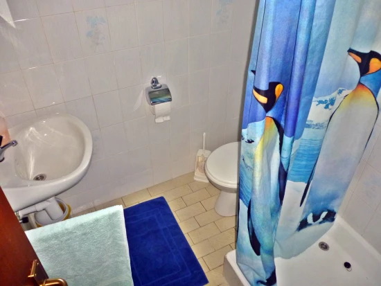 Apartmán Severní Dalmácie - Starigrad Paklenica DA 8193 N4