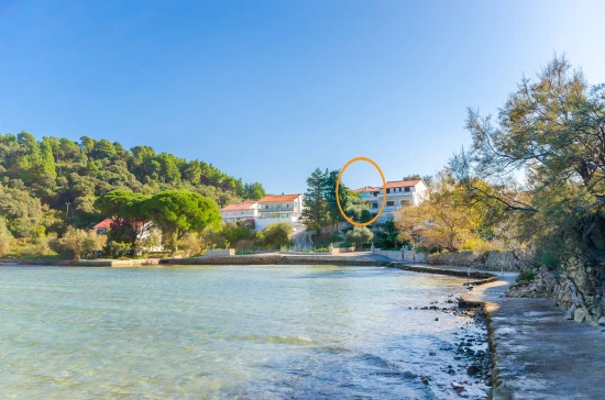 Apartmán Ostrov Rab - Kampor OS 10104 N3