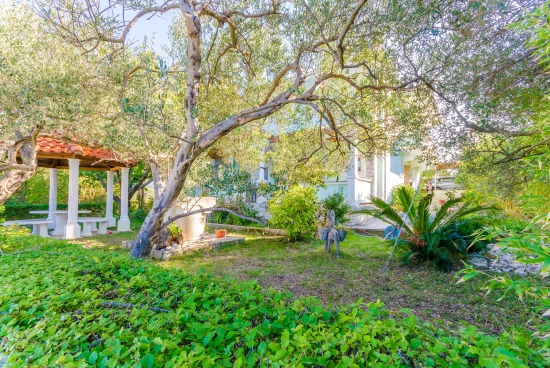 Apartmán Ostrov Rab - Kampor OS 10104 N3