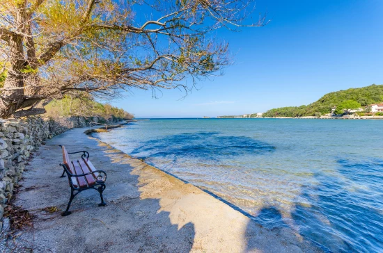 Apartmán Ostrov Rab - Kampor OS 10104 N3