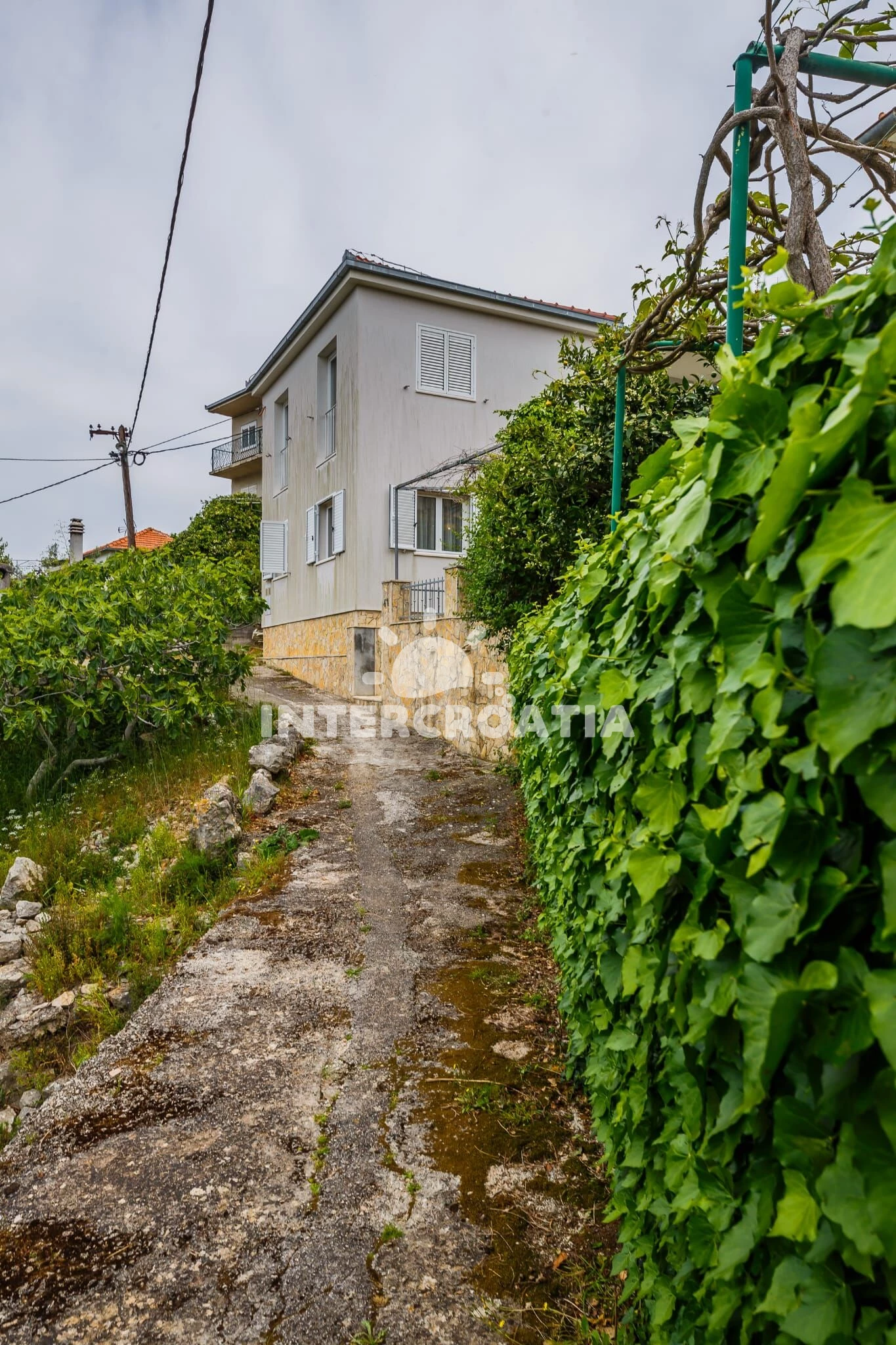 Domek Ostrov Drvenik Veliki - Drvenik Veliki OS 10105 N1