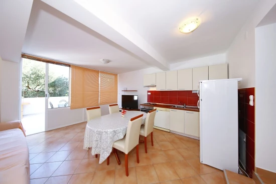 Apartmán Ostrov Pašman - Tkon OS 10114 N1