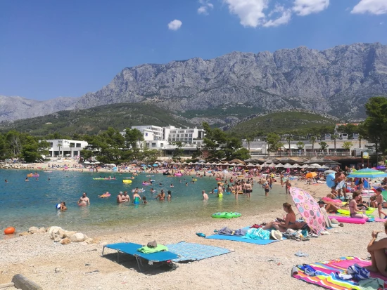 Apartmán Střední Dalmácie - Makarska DA 8206 N1