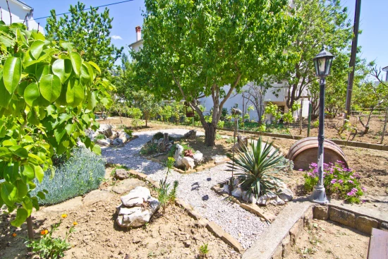 Apartmán Ostrov Rab - Palit OS 10116 N2