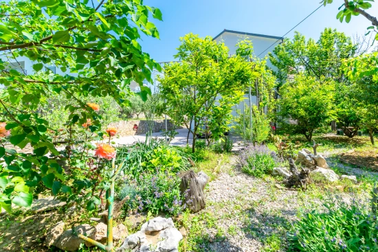 Apartmán Ostrov Rab - Palit OS 10116 N2