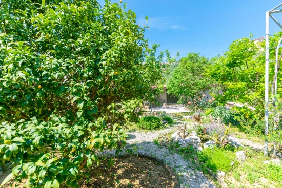 Apartmán Ostrov Rab - Palit OS 10116 N2