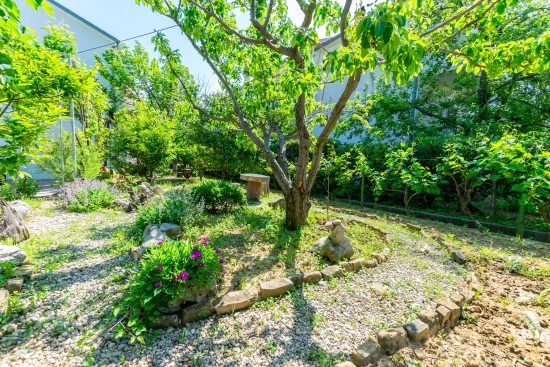 Apartmán Ostrov Rab - Palit OS 10116 N3