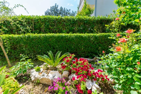 Apartmán Ostrov Rab - Palit OS 10116 N3