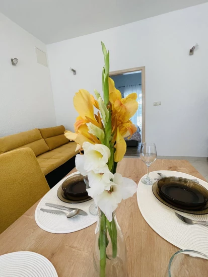 Apartmán Ostrov Rab - Palit OS 10116 N4