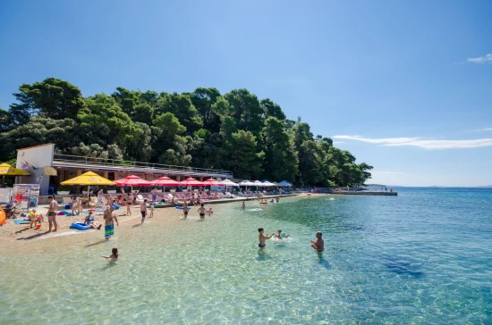 Apartmán Ostrov Rab - Palit OS 10116 N4