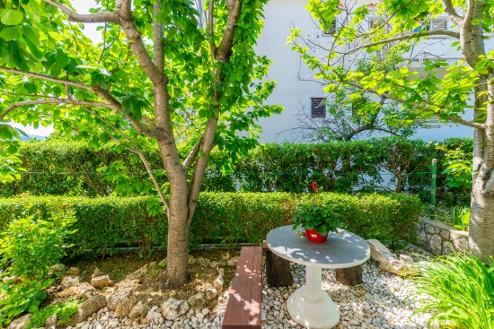 Apartmán Ostrov Rab - Palit OS 10116 N4