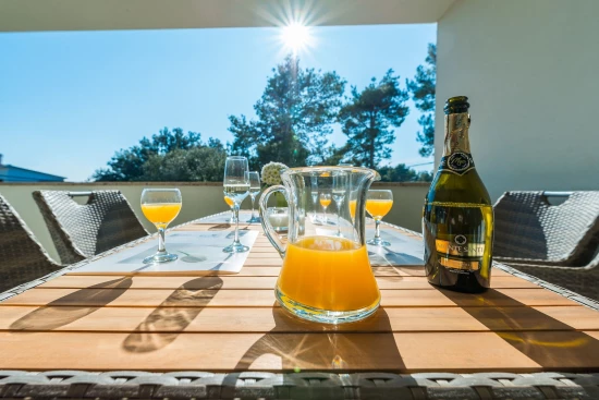 Apartmán Ostrov Vir - Vir OS 10122 N1