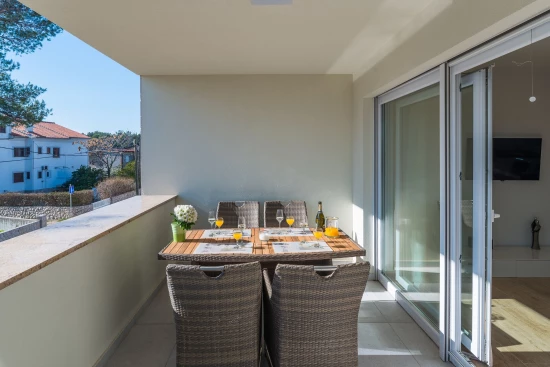 Apartmán Ostrov Vir - Vir OS 10122 N1