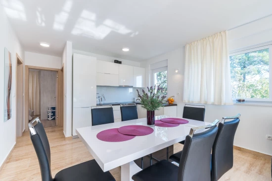 Apartmán Ostrov Vir - Vir OS 10122 N1