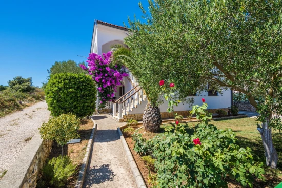 Apartmán Ostrov Vir - Vir OS 10123 N1